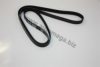 AUTOMEGA 1013400046 V-Ribbed Belts